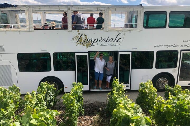 A stop in the vineyards