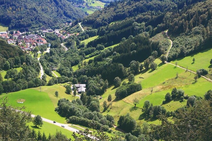 Germany Freiburg & Black Forest Private Day Trip from Strasbourg