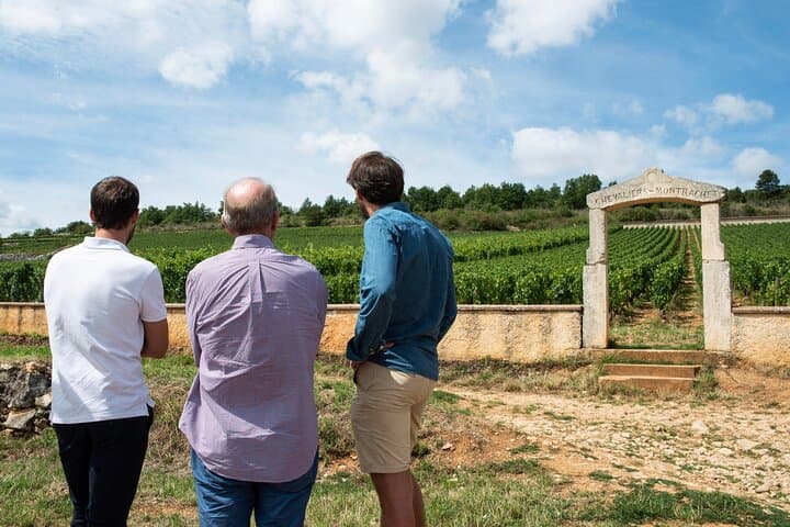 Private full day gourmet & wine tour : Burgundy Delights