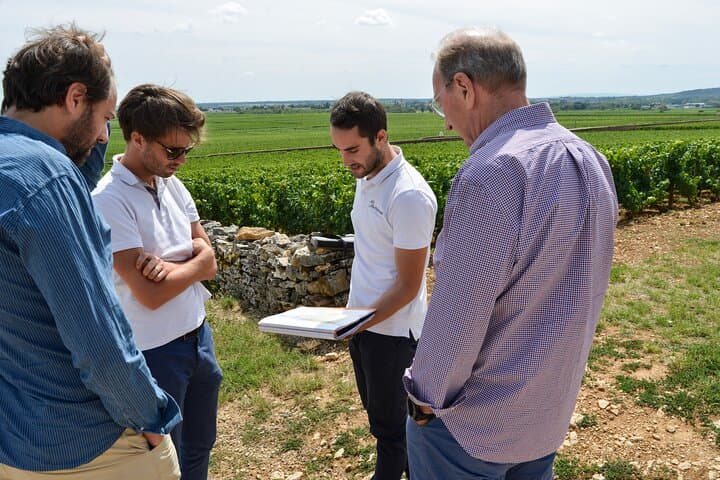 Private full day gourmet & wine tour : Burgundy Delights