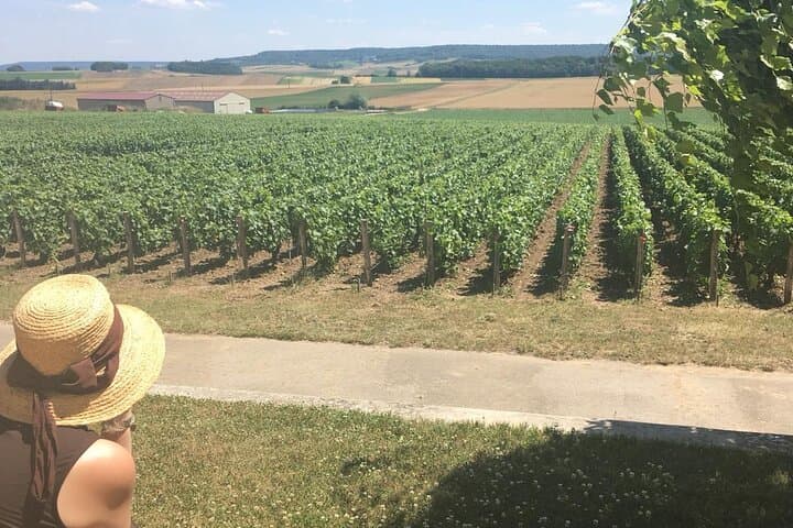 Private Day Trip to Champagne Region with Lunch