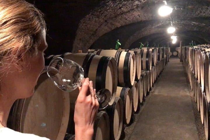 Private full day tour in Burgundy : The Essence of Chablis