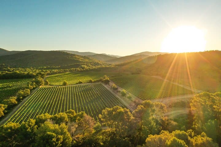 4x4 tour in a winery followed by a tasting