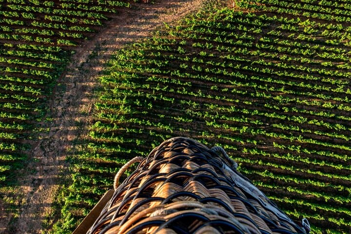 Flying over the prestigious vineyards