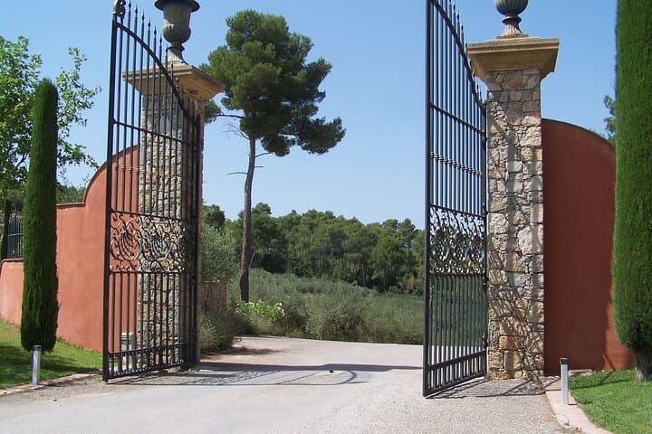Private Vineyard Tour of Provence from Nice