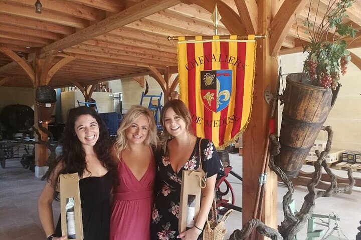 Côtes de Provence Wine Day Tour : 7 hours