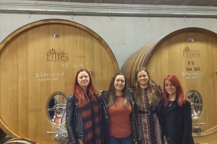 Bandol Wine Tour - 4 hour Private tour