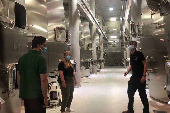 Wine cellar visit in Domaine des Baux de Provence