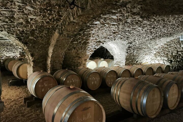 Beaujolais Crus wine tour from Lyon Full day