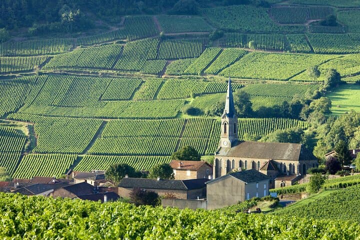 vineyards known all over the world