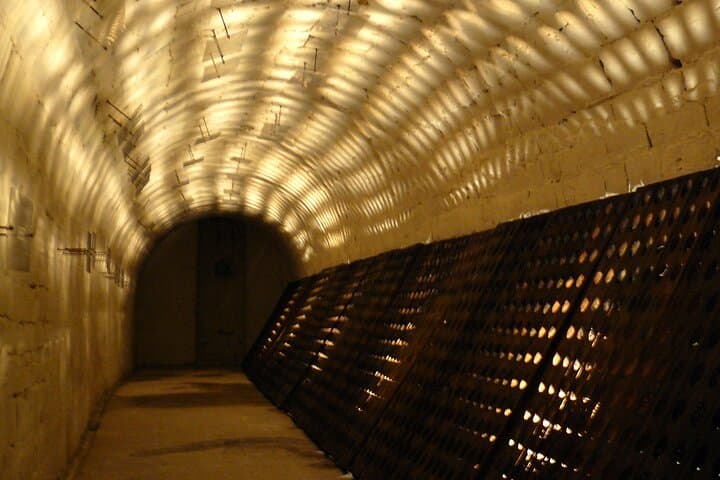 Great Family Champagne Vineyards - Custom Planned Tour