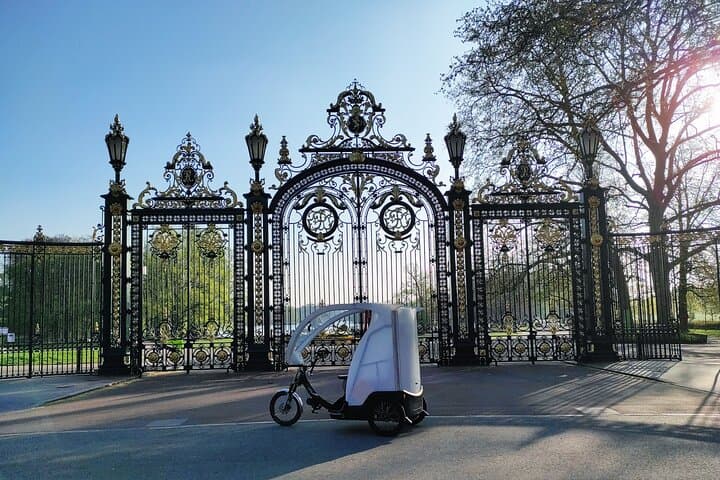 Children's Gate Rhône Pedicab