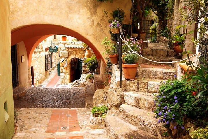 Private Customized French Riviera Tour from Port Villefranche 6H