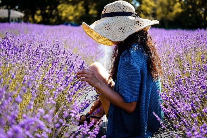 Time alone in a lavender field