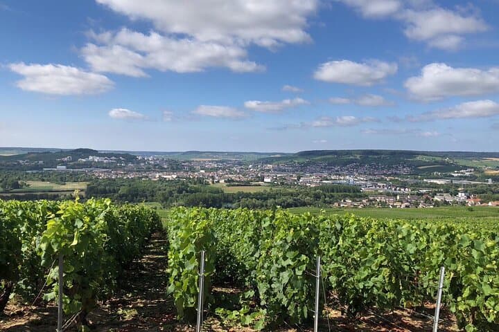 Guided tour of the Aÿ vineyard and Champagne tasting