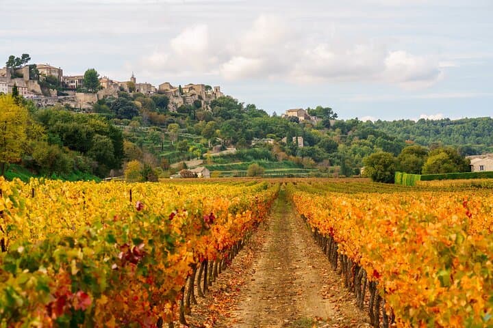 Ménerbes with its vineyards