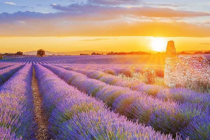 Sunset on a lavender field