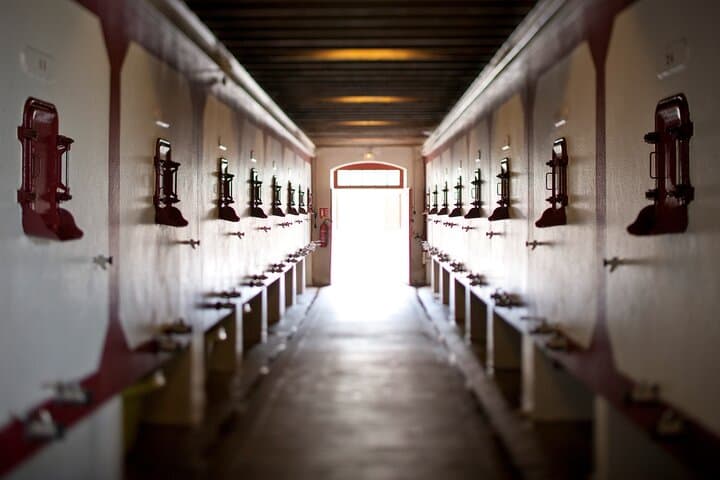 Wine Tour at Chateau Lanessan