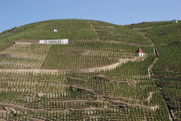 Half-Day Cotes du Rhone Private Wine Tour from Lyon