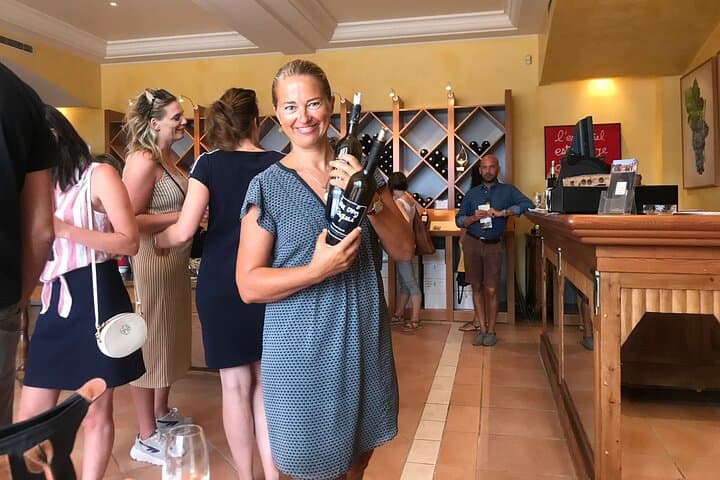 Private tour, Medieval Saint Paul & Wine tasting (from Nice)
