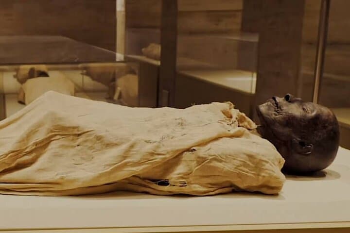 Half-Day Tour To The Mummies Museum & 1Hour Felucca Nile Ride