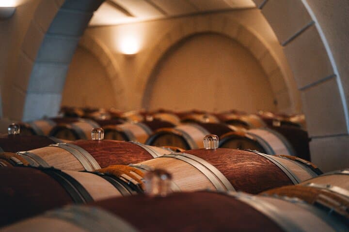 Vignobles Chatonnet Visit