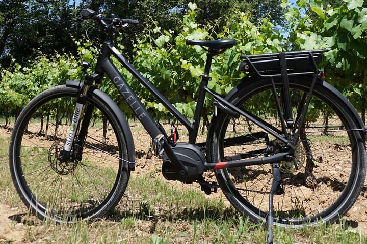 Wine of the Luberon by e-bike... Not to be missed !