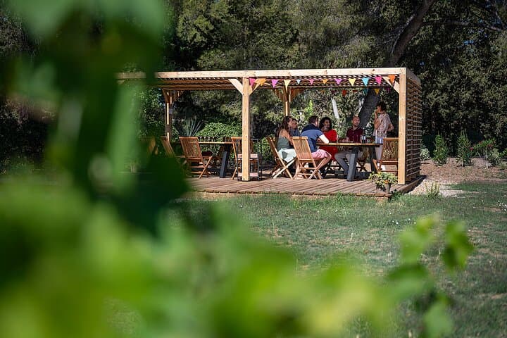 Private Half-Day Languedoc Wine Tour from Sète