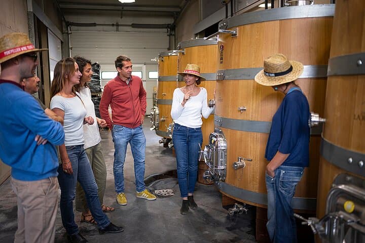 cellar visit
