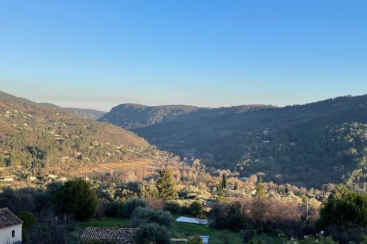 Half-Day Private Tour of Grasse and its Surroundings