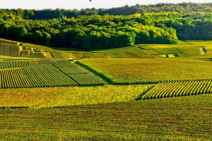 Taittinger Champagne Tastings Cellars Private trip from Paris