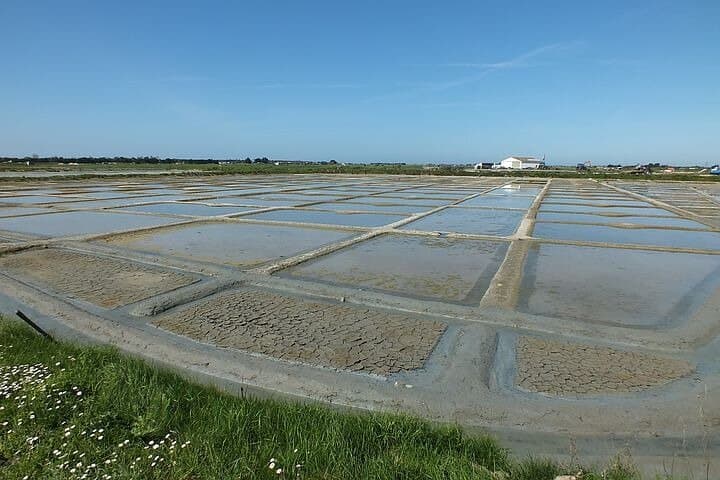 Nature walk to discover Noirmoutier and its charms
