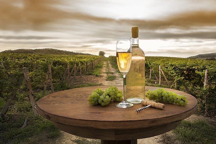 Provence Organic Wine Tasting Half Day Tour from Nice