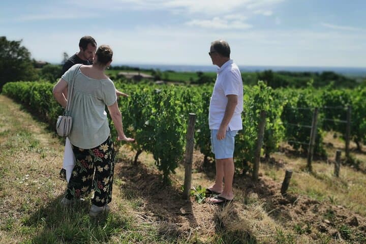 Beaujolais wine tour from Lyon half day
