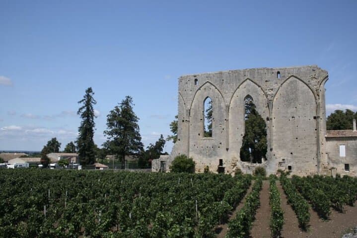 Saint-Émilion : Private Walking Tour & Magnificent Views