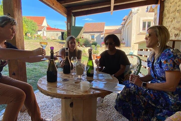Day Trip Champagne Meeting to Champagne Growers from Reims