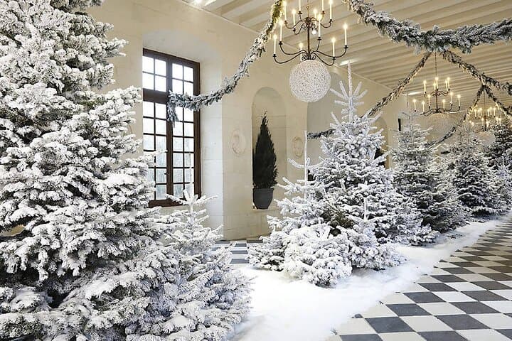 Noël aux Châteaux de la Loire au départ de Paris - 2025