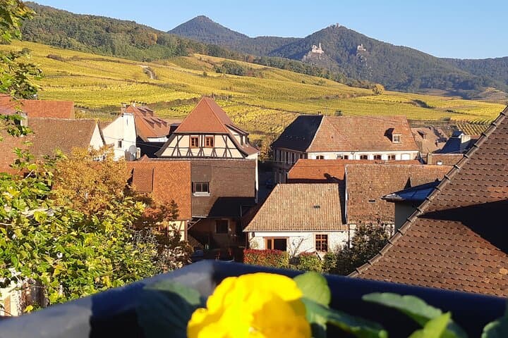 ICONICS Tour: 1/2 day on the Wine Route, visit of 2 Villages + Tasting.