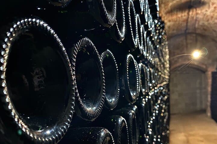 Cellar visit of family winegrowers