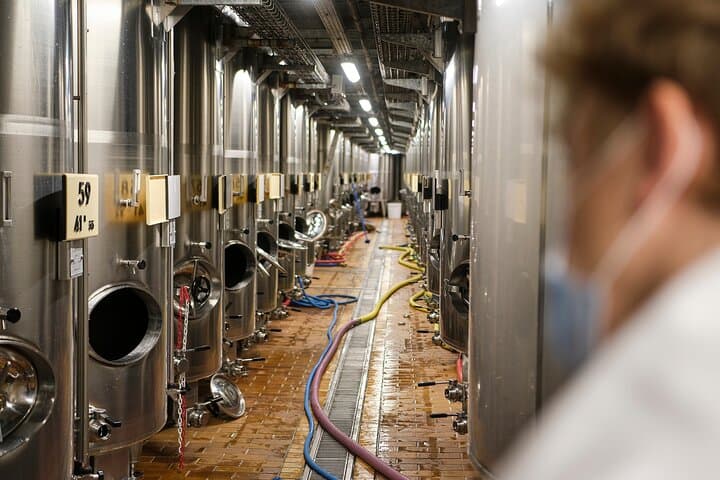 Visit the Winery of a Small Producer.