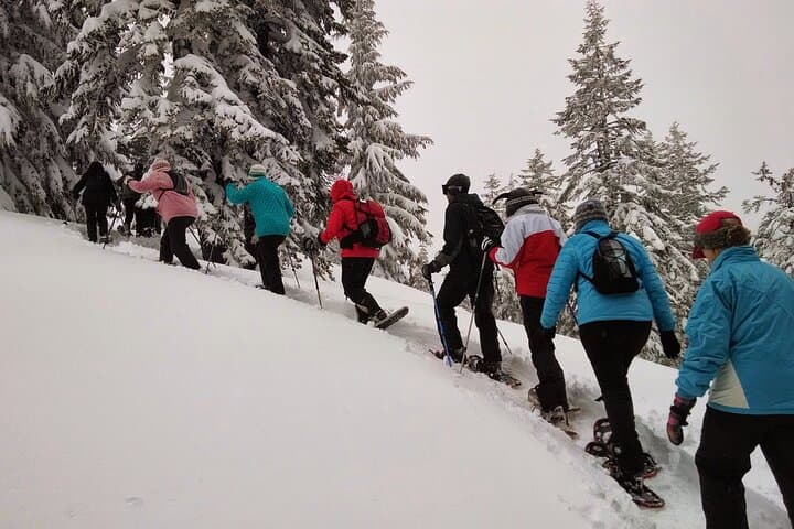 Snowshoeing in Chamonix, with a private guide