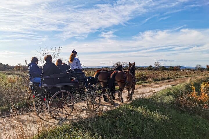 Carriage rides, Pays de Sommières