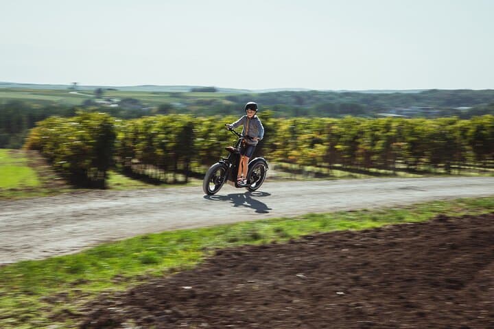 Ride on an all-terrain electric scooter in the vineyards of Cognac
