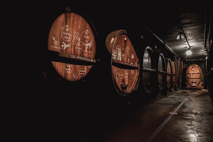 Immersive cellar tour, tasting and picnic basket