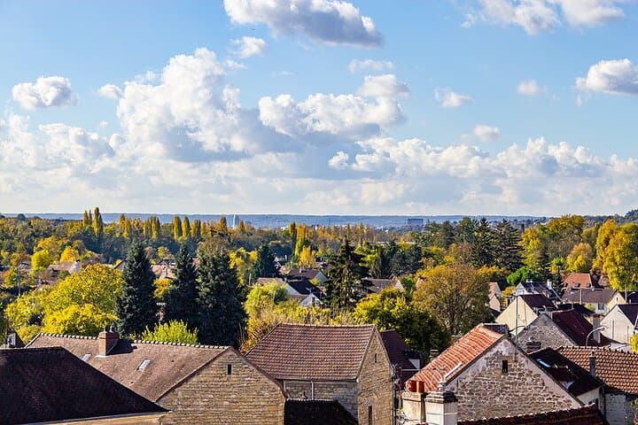 Half-Day Private Tour: Vincent Van Gogh in Auvers sur Oise