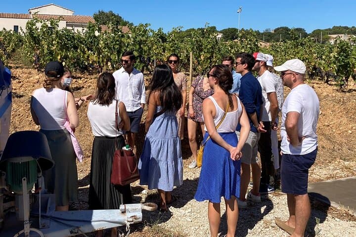 Full-Day Wine and Cheese Tour around Aix-en-Provence from Marseille