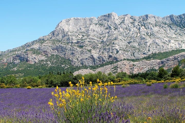 Full-Day Wine and Cheese Tour around Aix-en-Provence from Marseille