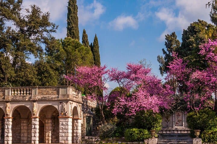 Nice, St Paul de Vence & Antibes from Aix en Pce et Avignon