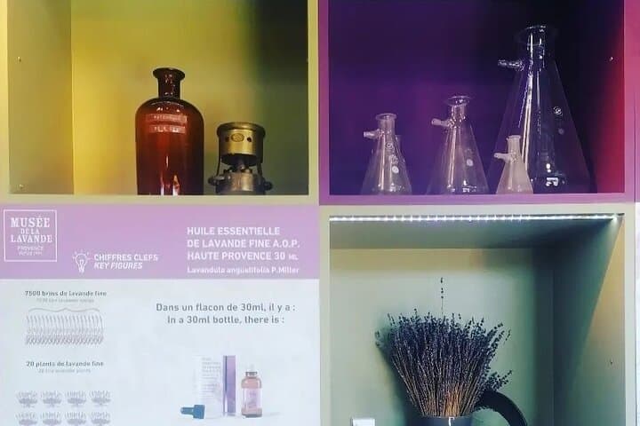 Full day Lavender tour from Avignon