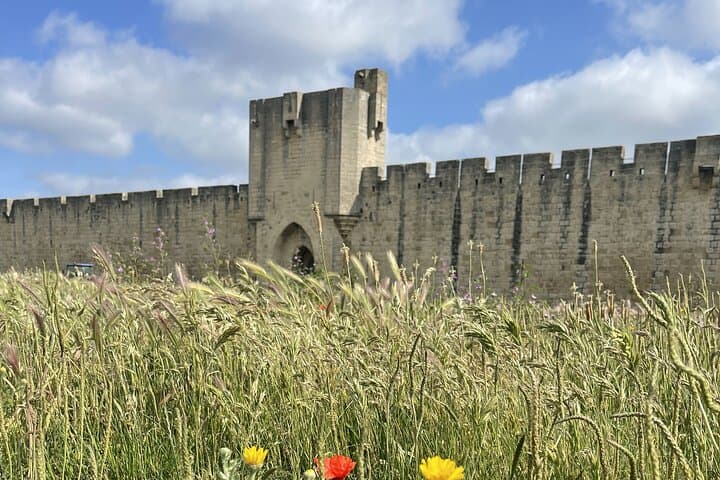 Fortress of Aigues Mortes with cham bead in the foreground